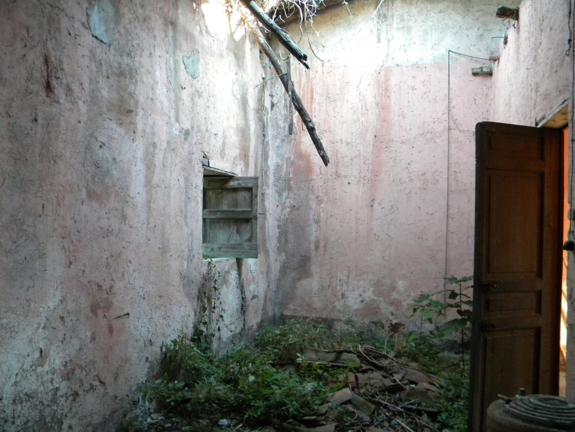 DSCN8126 .JPG